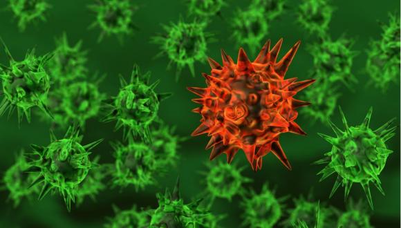 האם יש לנו סיכוי להתמודד עם האבולוציה הנגיפית?