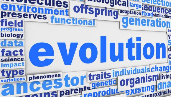 המהפכה הדארווינית והאדם המהפכה הדארווינית והאדם