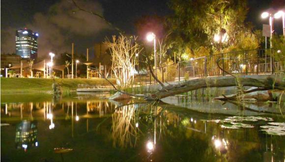 חמישי בקמפוס בלילה לבן חמישי בקמפוס בלילה לבן